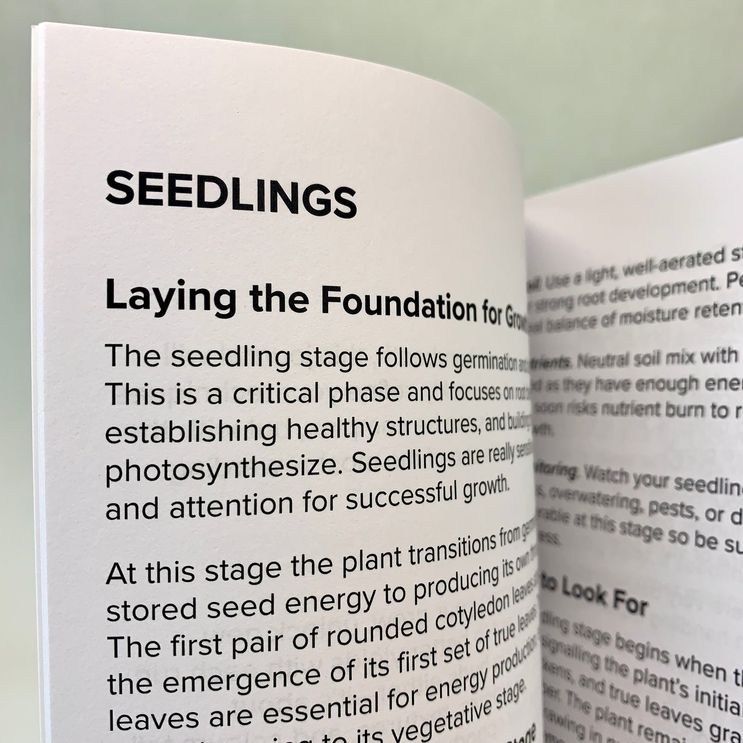 Log watering, soil, light, and early growth details to give your seedlings the strongest possible start.