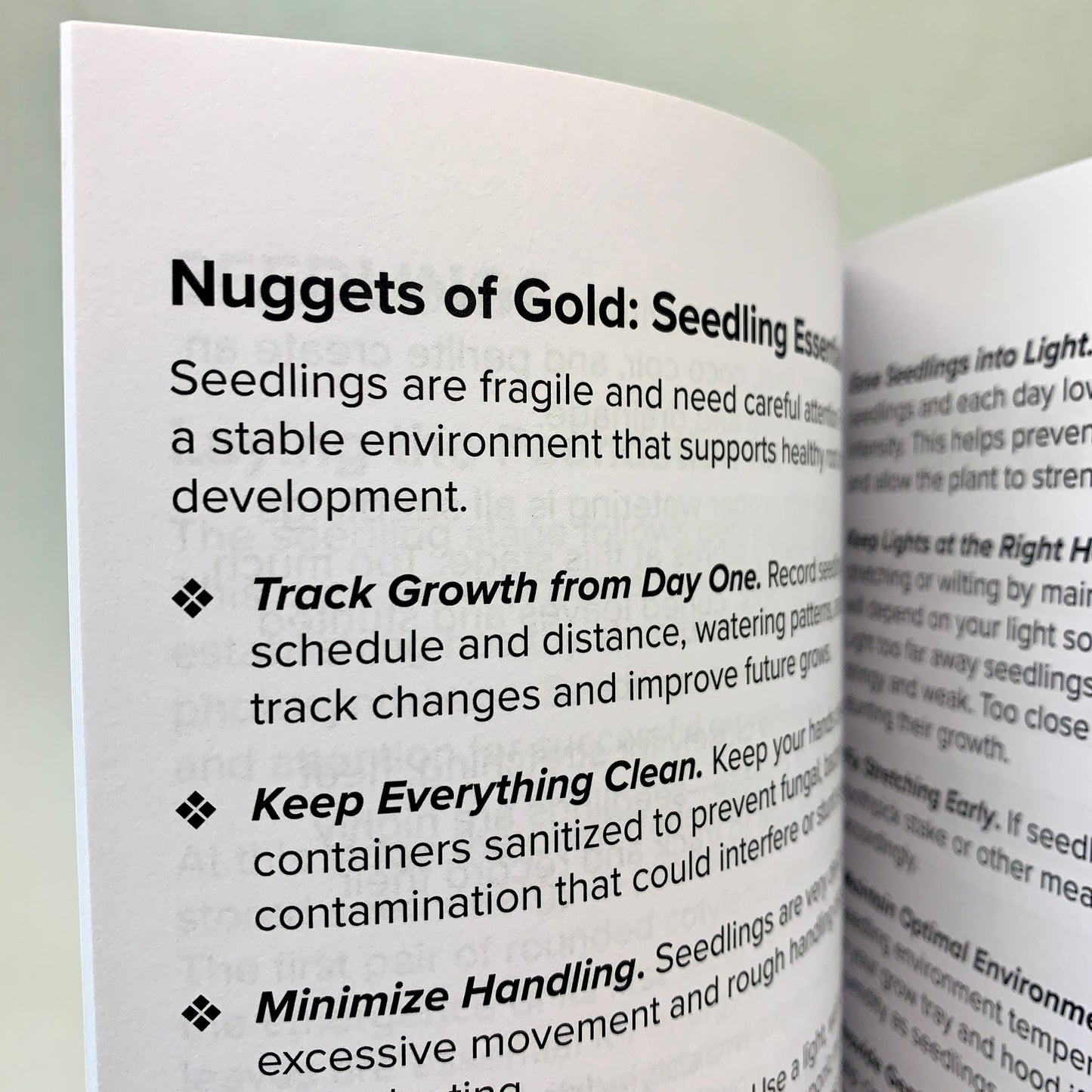 Log watering, soil, light, and early growth details to give your seedlings the strongest possible start.