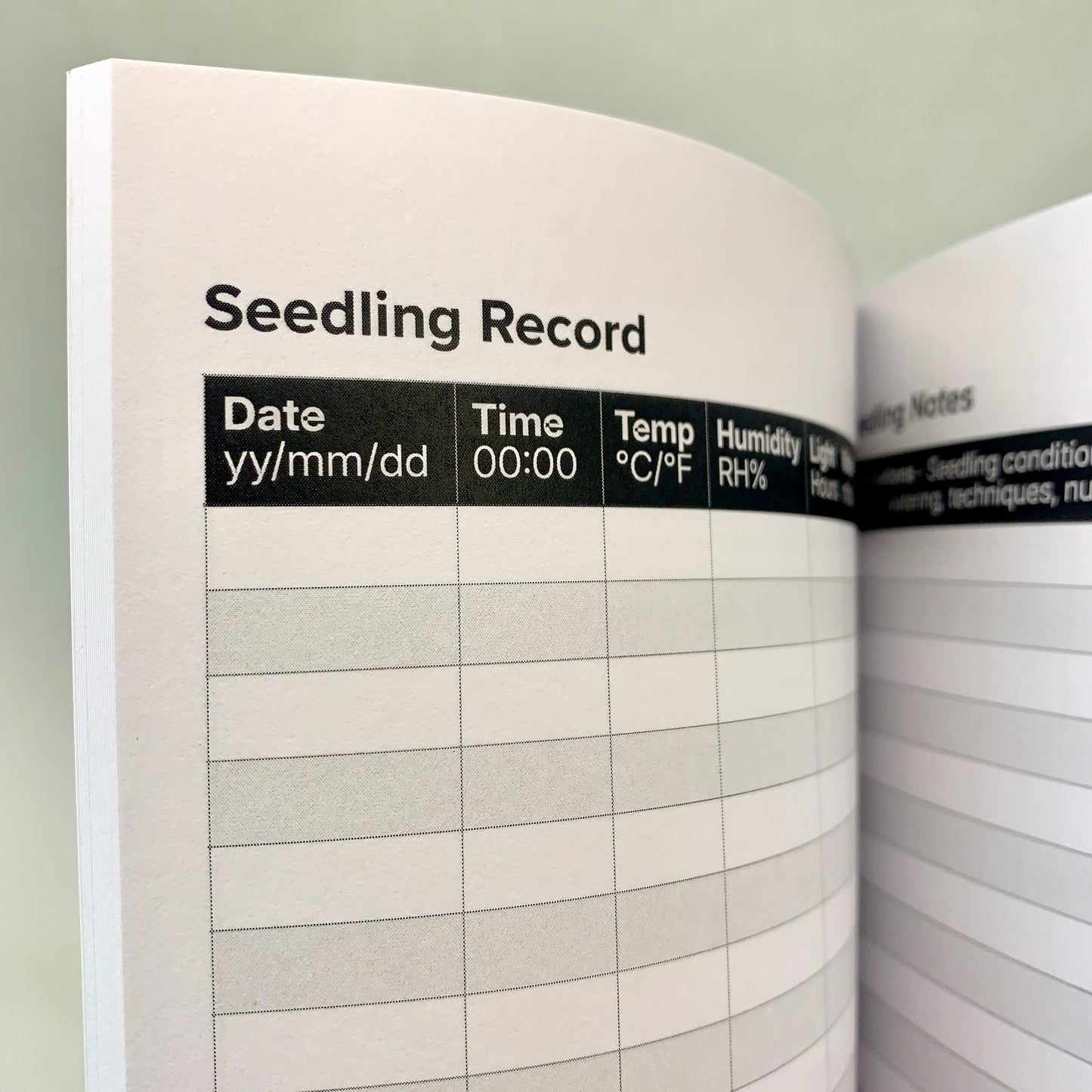 Log watering, soil, light, and early growth details to give your seedlings the strongest possible start.