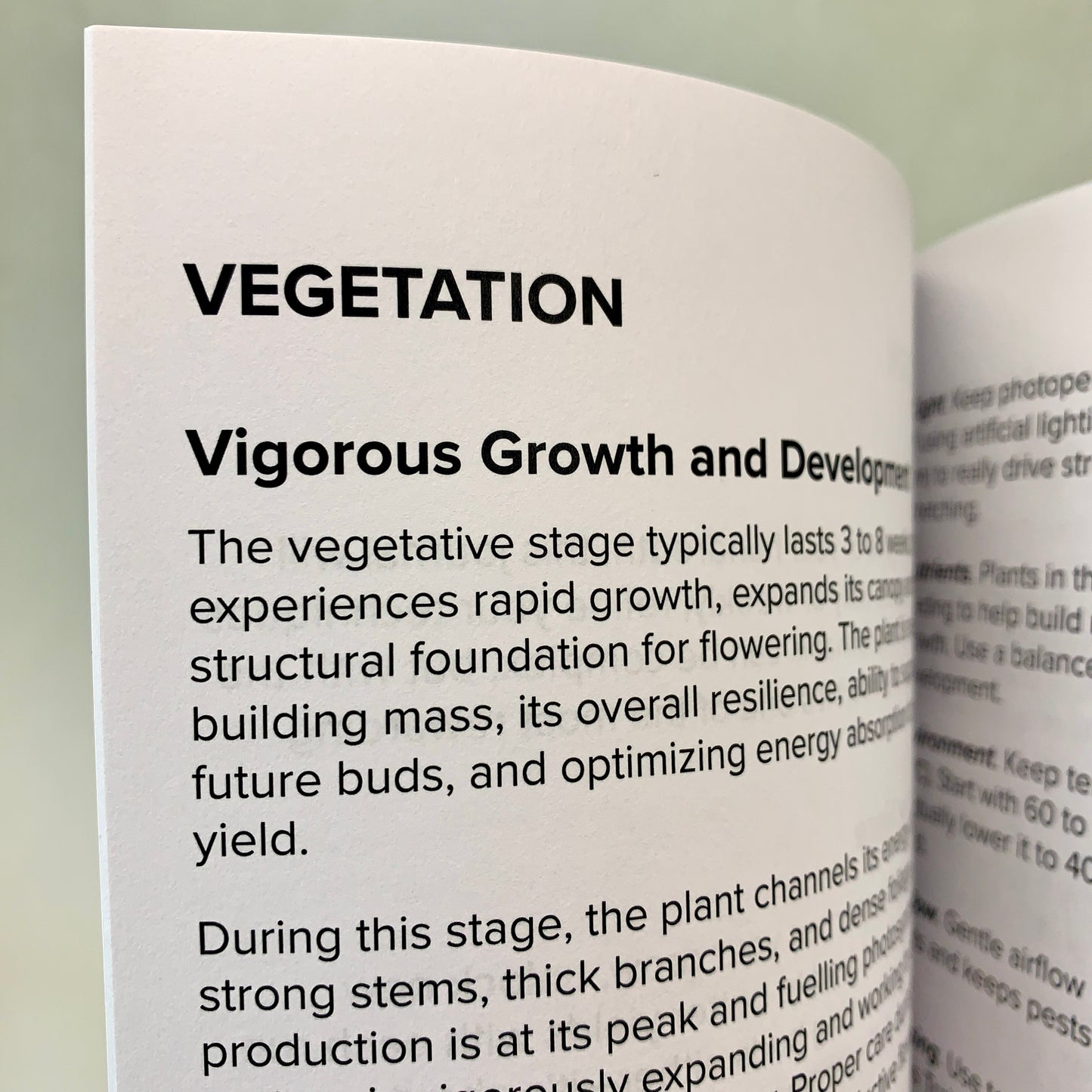 Monitor feeding, training, and environment to guide your plants through vigorous vegetative growth.