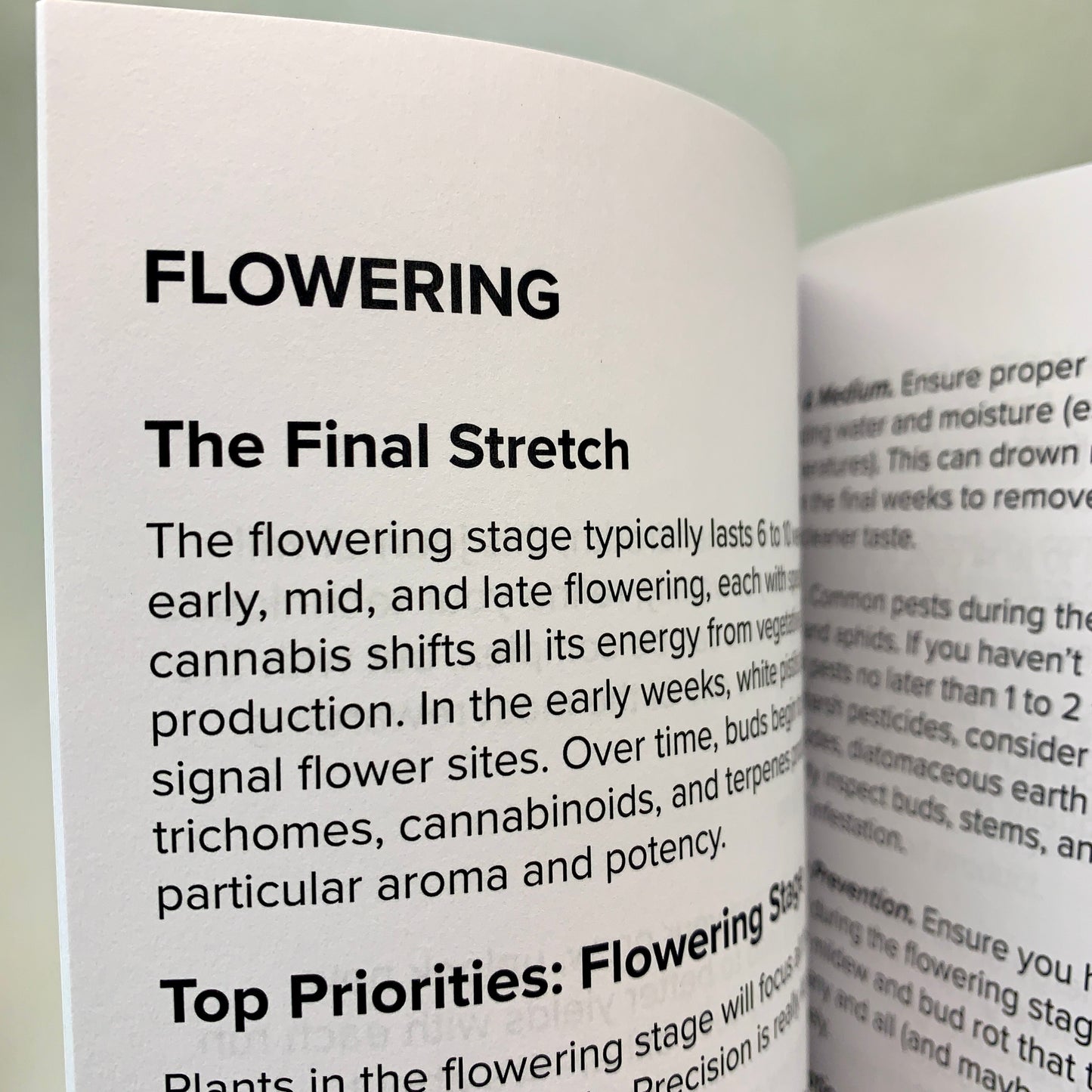 Record your plant bloom conditions, nutrients, and canopy care to maximize flower quality and yield.