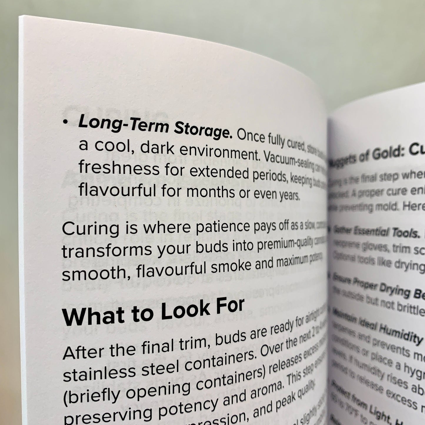 Log curing conditions, burping schedules, and storage methods to preserve your buds' flavour and potency.