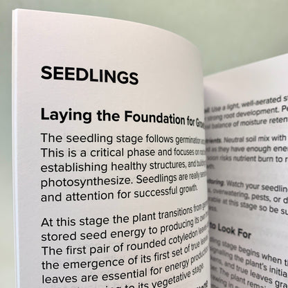 Log watering, soil, light, and early growth details to give your seedlings the strongest possible start.