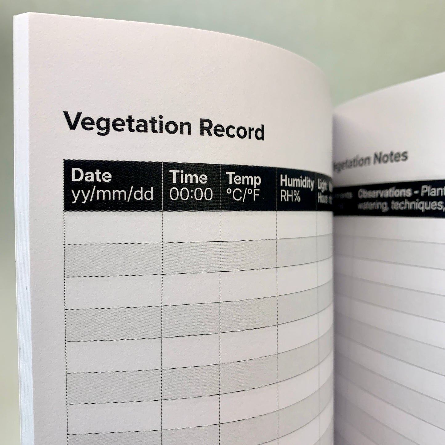 Monitor feeding, training, and environment to guide your plants through vigorous vegetative growth.